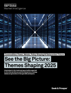 2025 Commodities Outlook: Power, Metals, Policy Shaping the Future of AI Revolution's Foundation